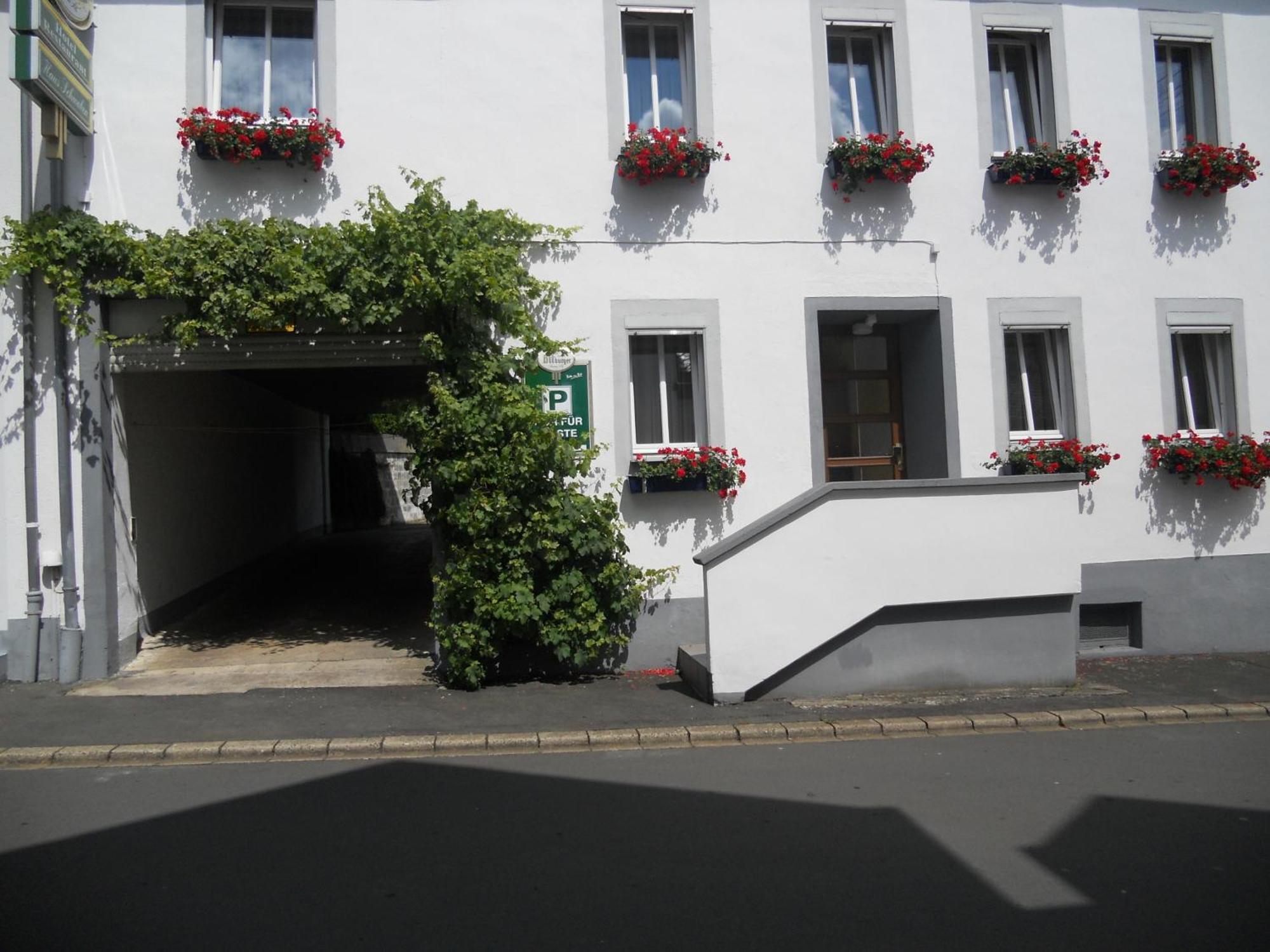 Pension Am Lieserpfad Manderscheid Exterior photo